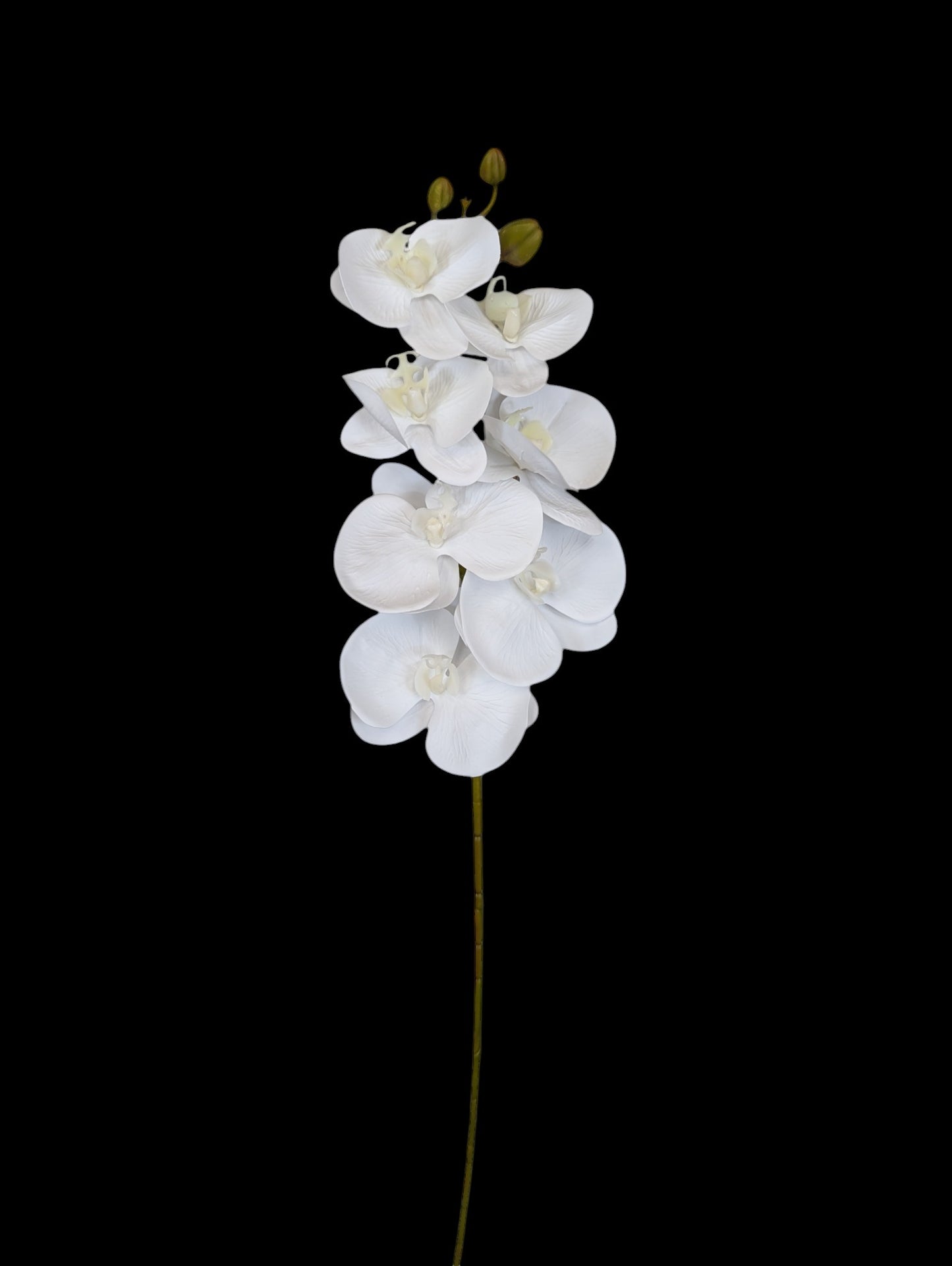 G17 Orchid Stem 31" Long 7 Heads