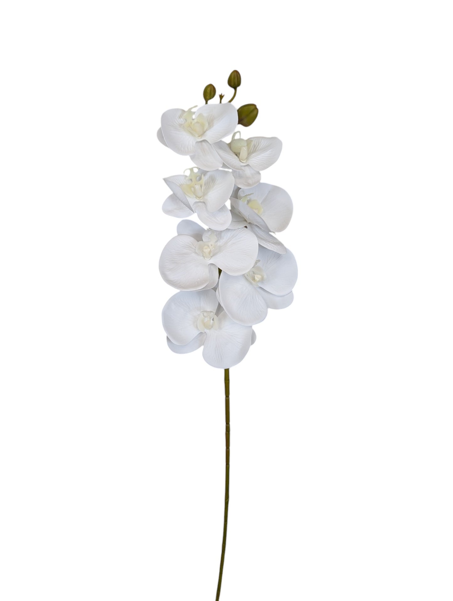 G17 Orchid Stem 31" Long 7 Heads