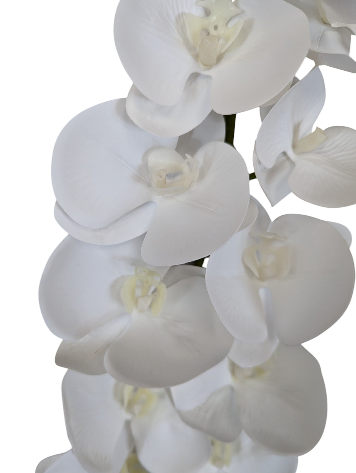 Giant Orchid Stem 41" Long 11 Heads