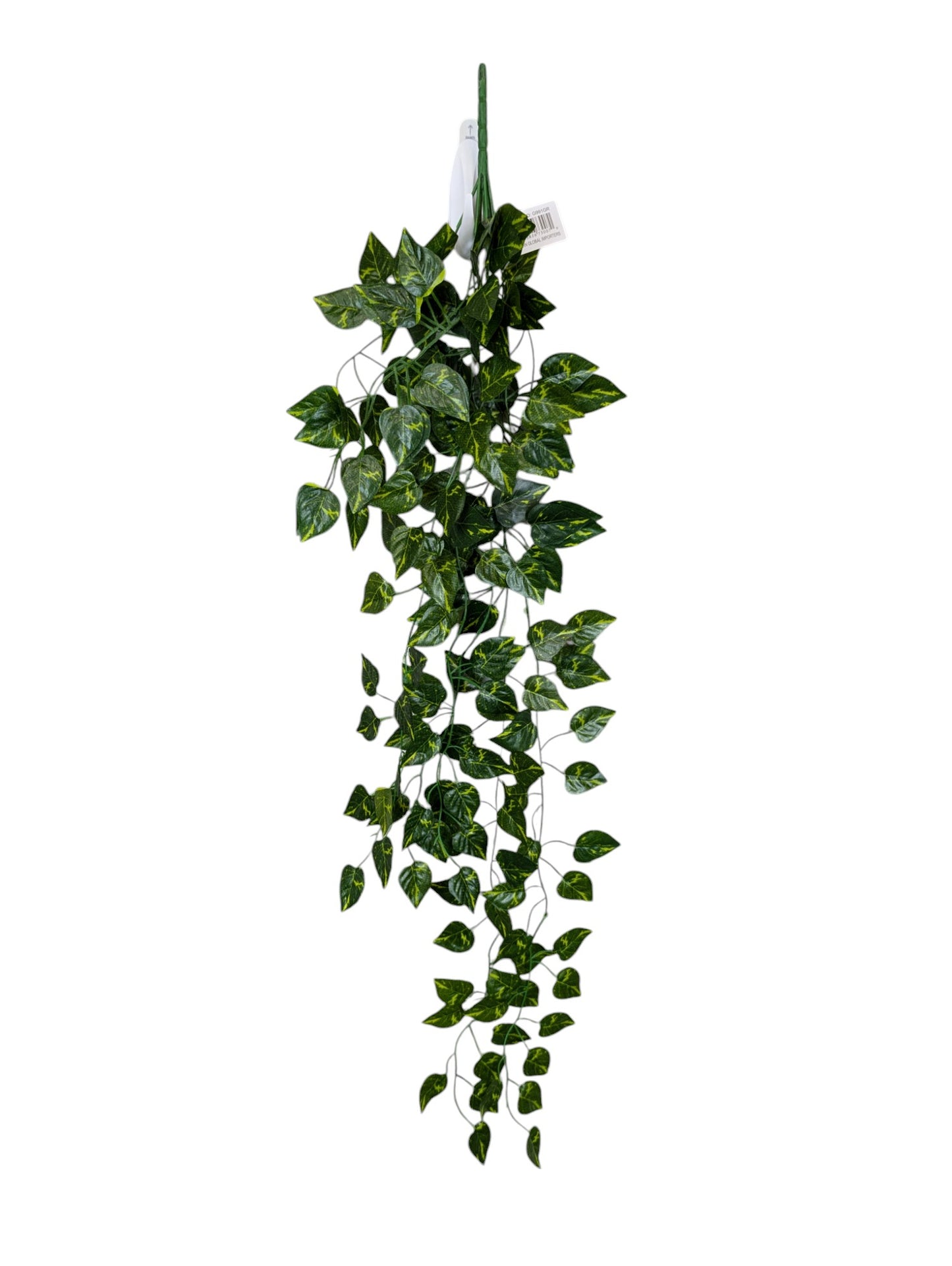 Pathos Bush