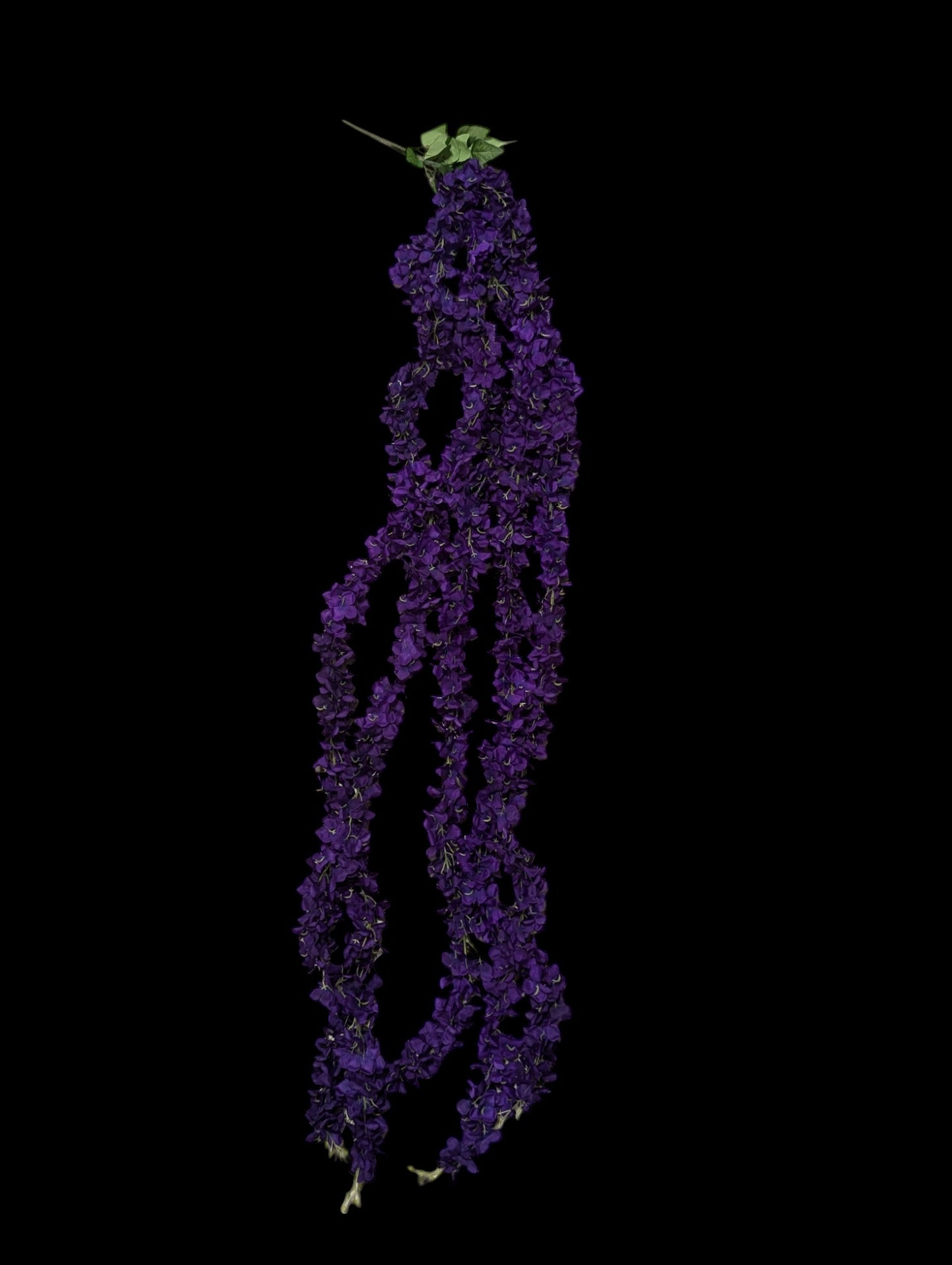 Hanging Wisteria Spray x5 Strands