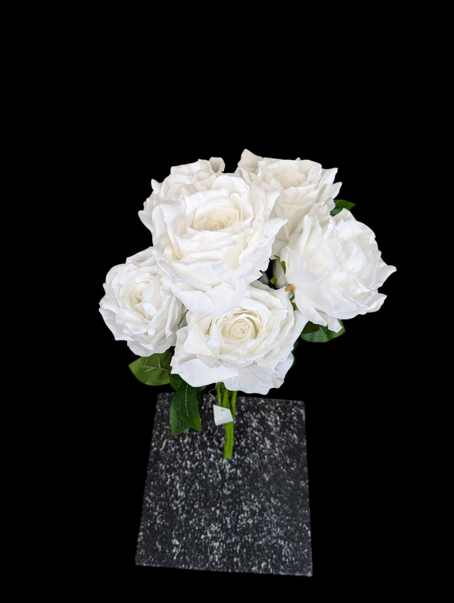 Rose Bush x 7 Heads