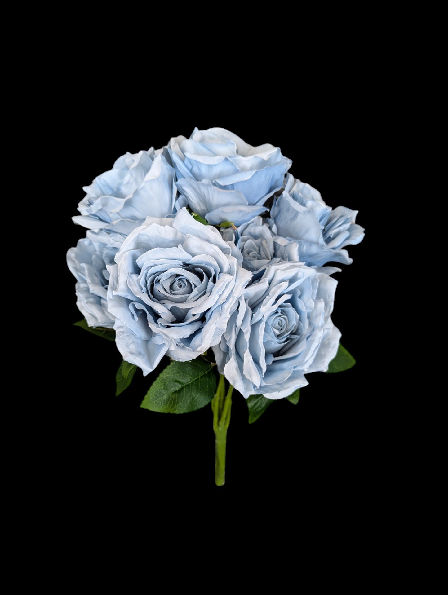 Rose Bush x 7 Heads