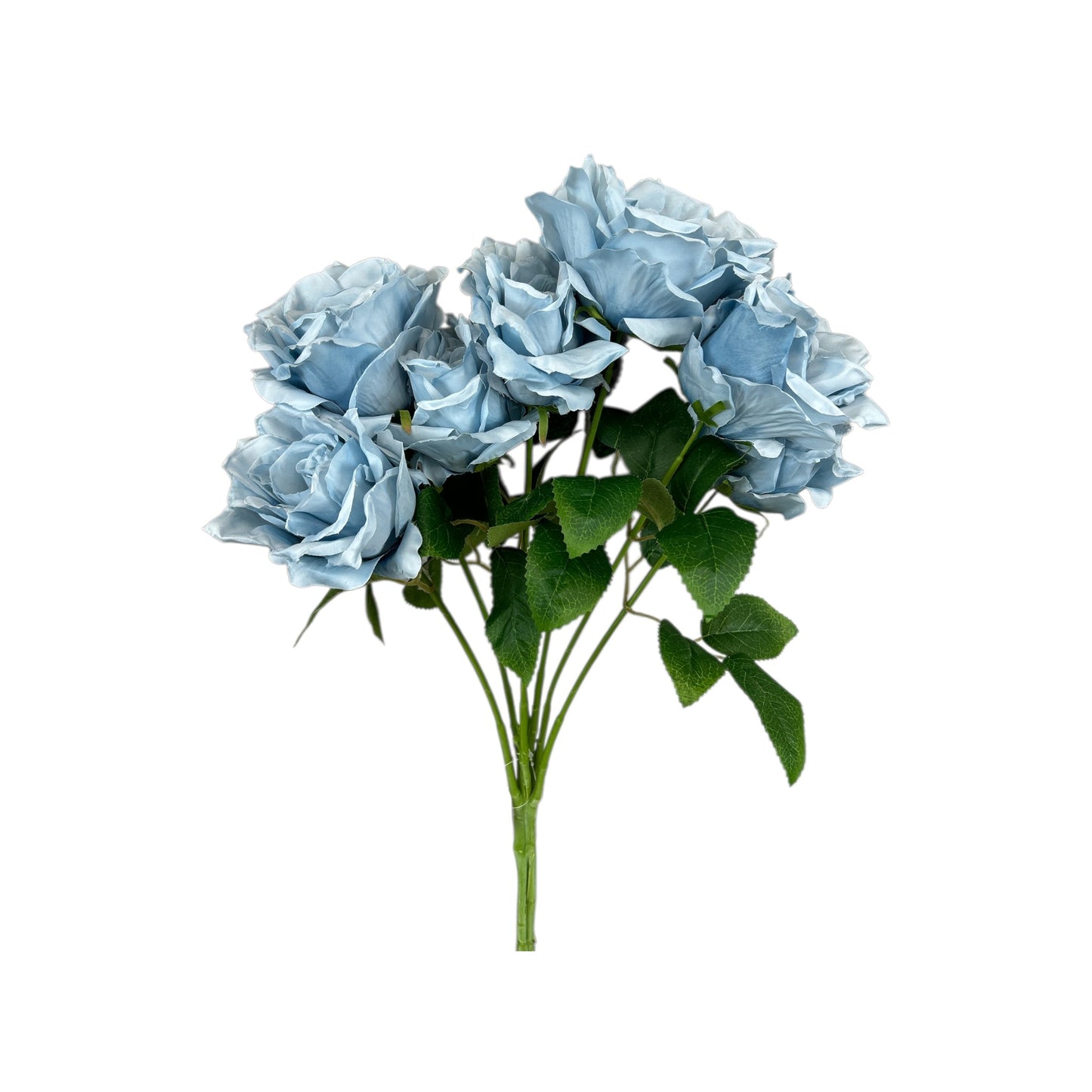 Blue Rose Bush- 7 heads