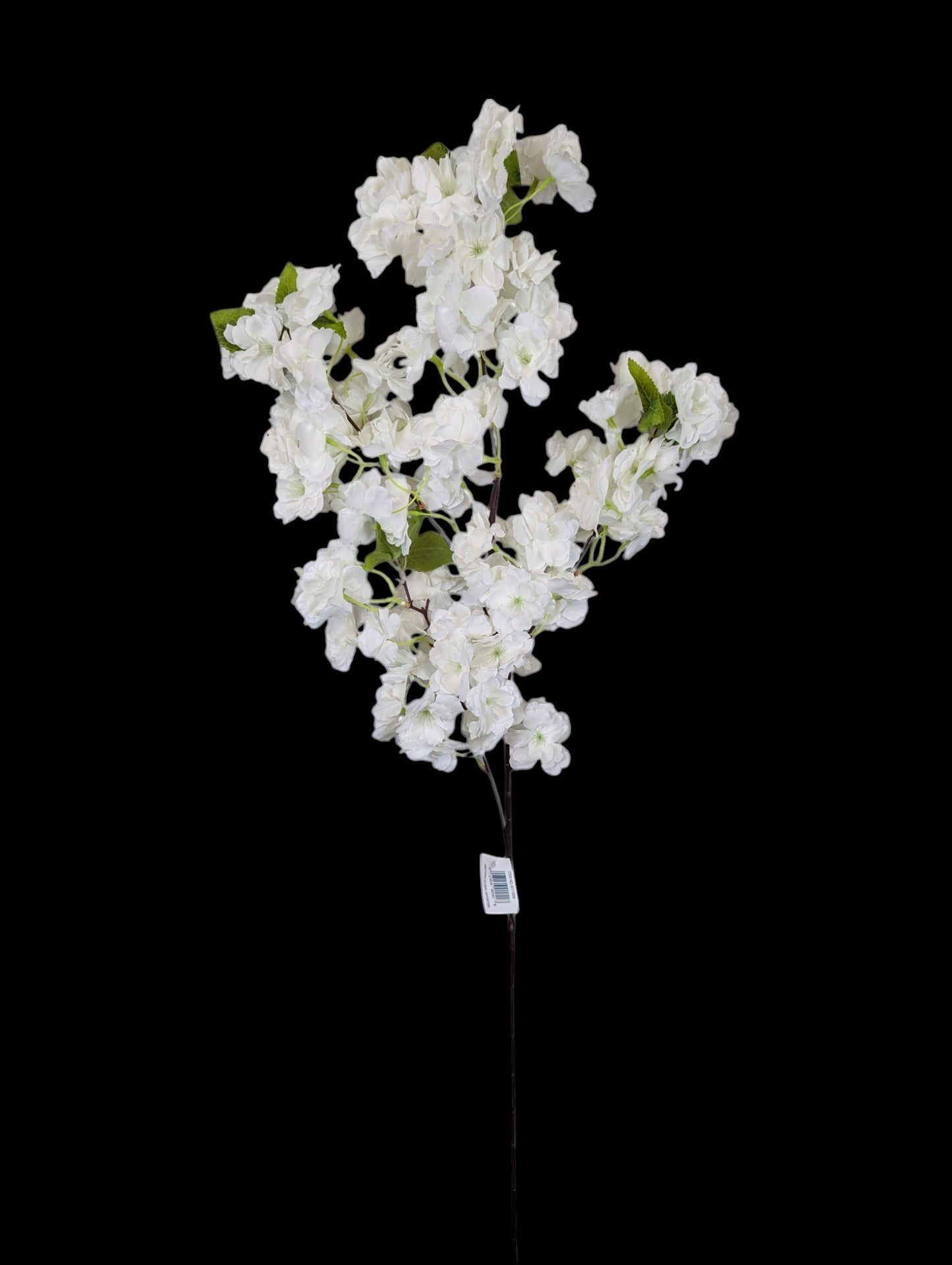 Cherry Blossom Spray BW 41"