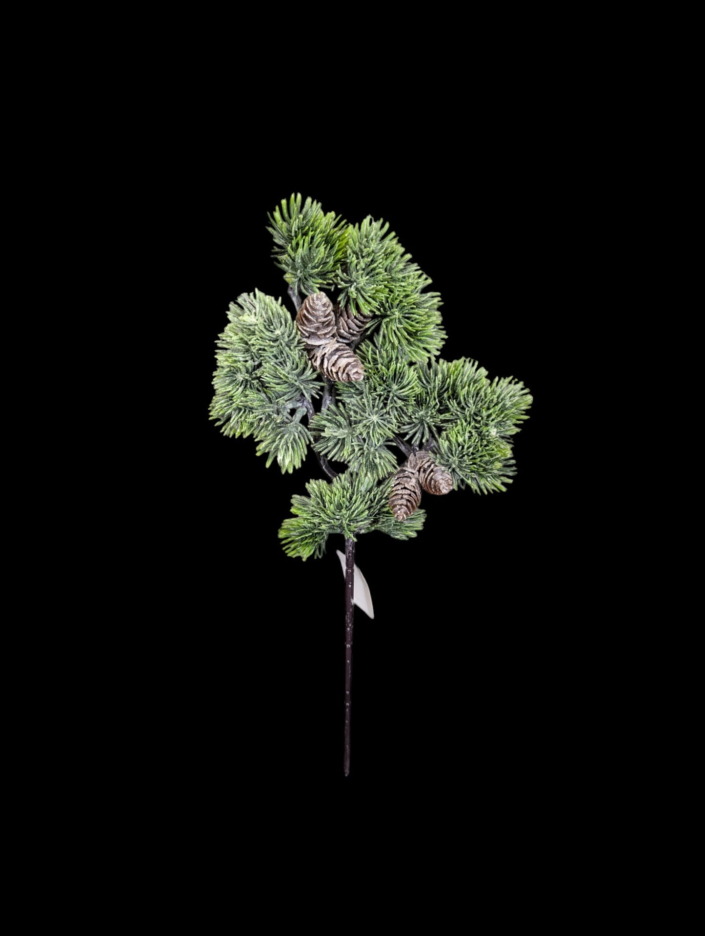 Frosted Greenery Pick with Cons