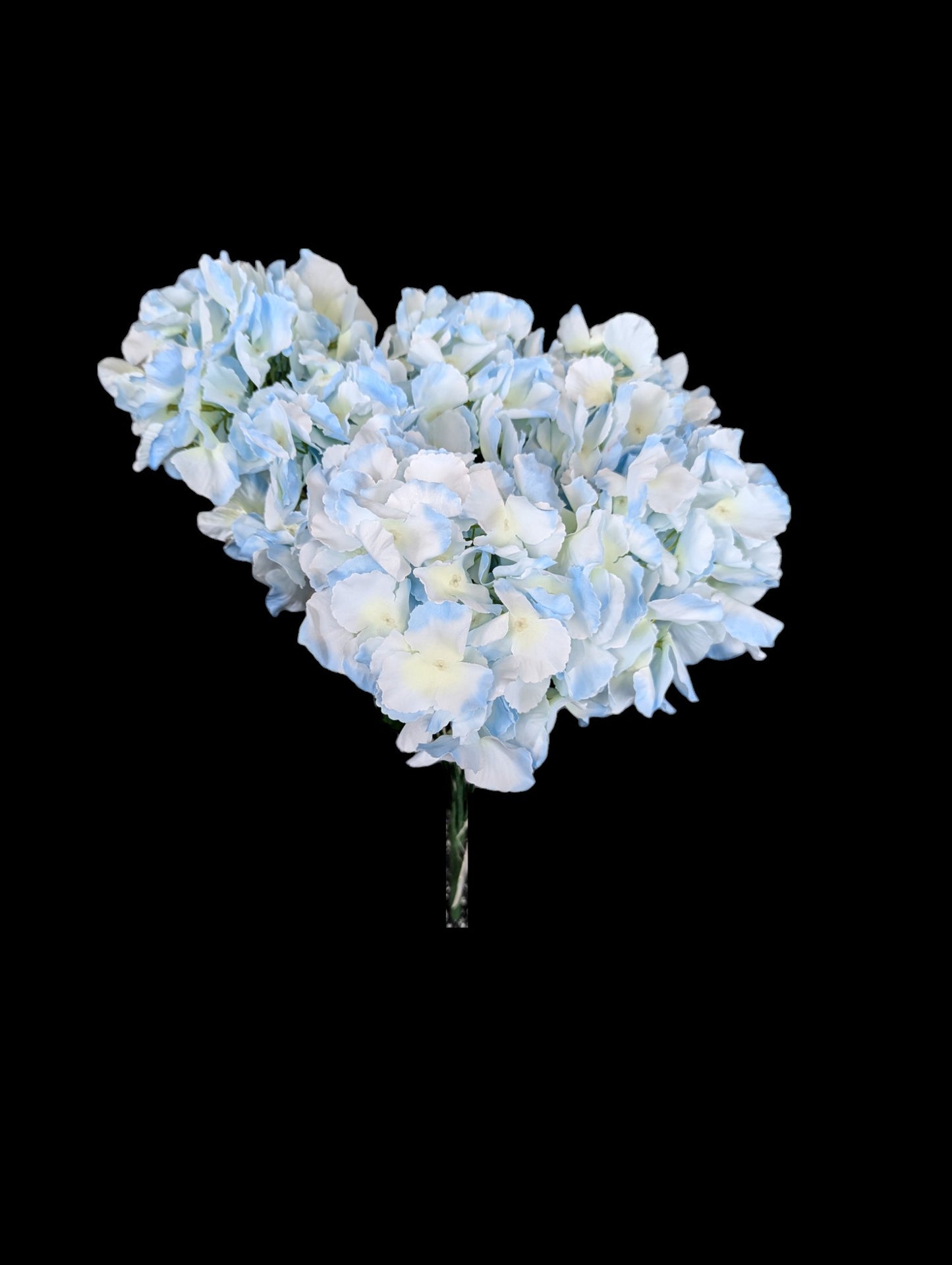 Hydrangea Bush XL LT/BL