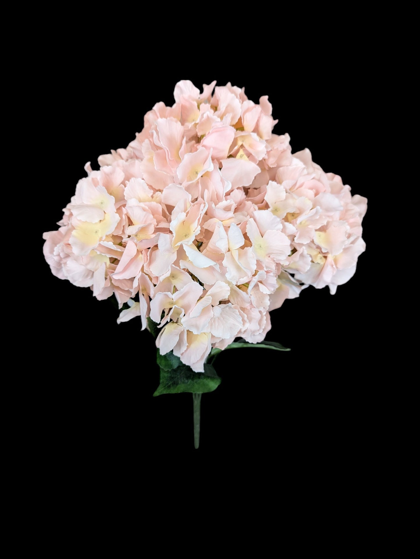 Hydrangea Bush XL Soft/PK