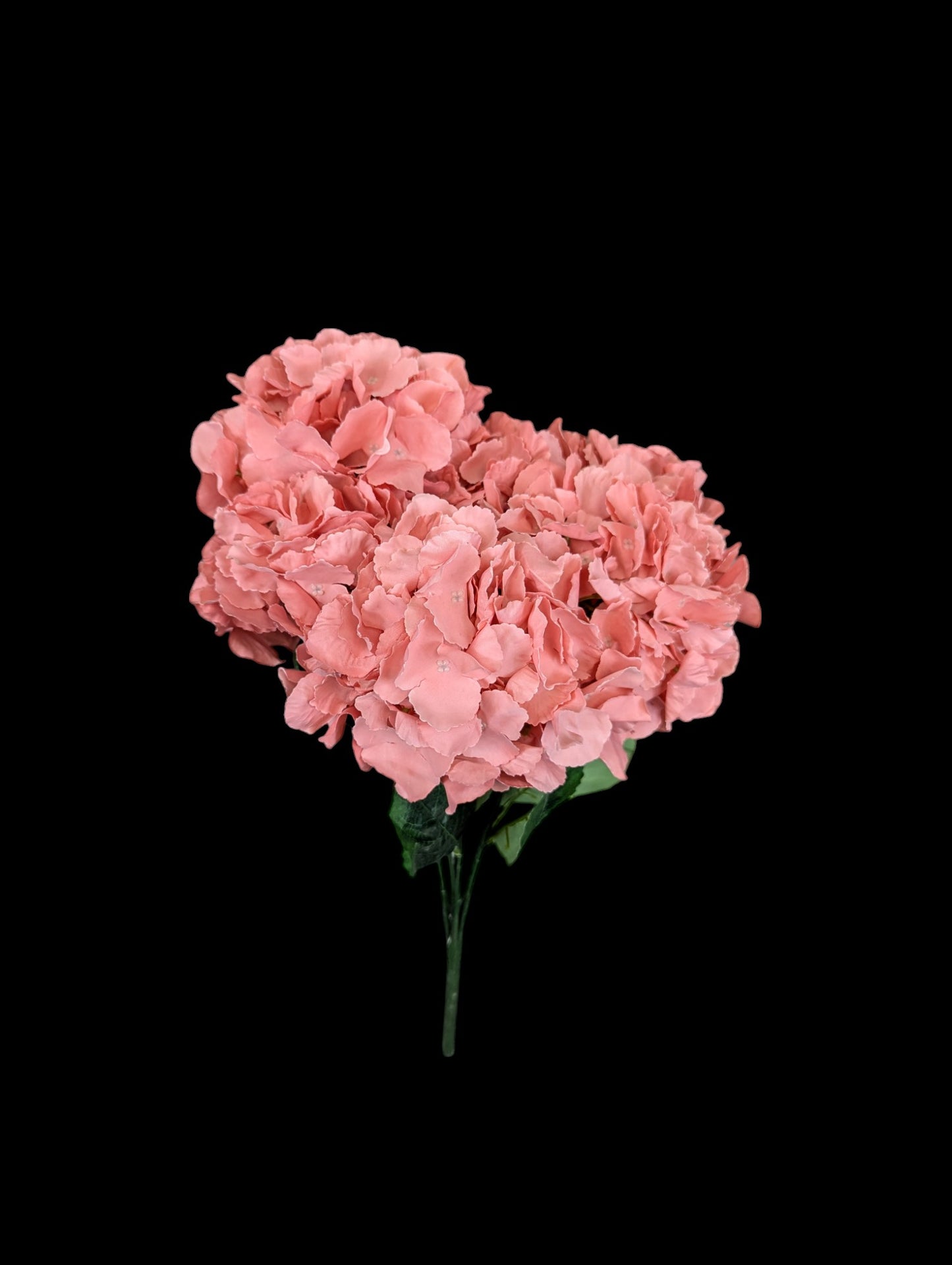 Hydrangea Bush XL Coral