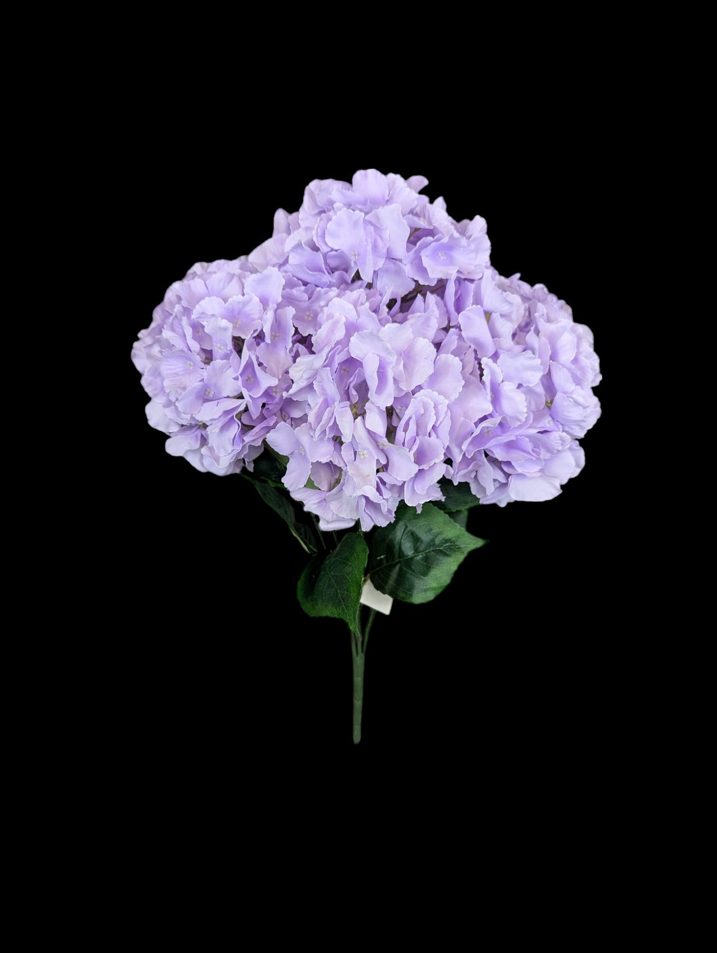 Hydrangea Bush XL Lavender