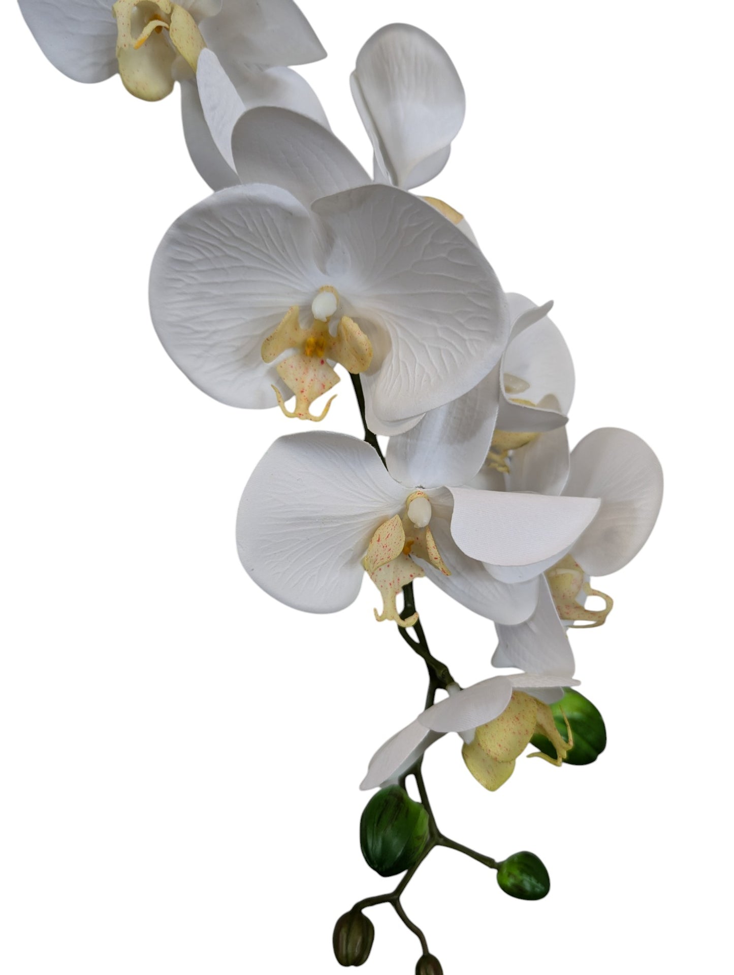 Q723-WH Phalaenopsis Spray 28.5 inches