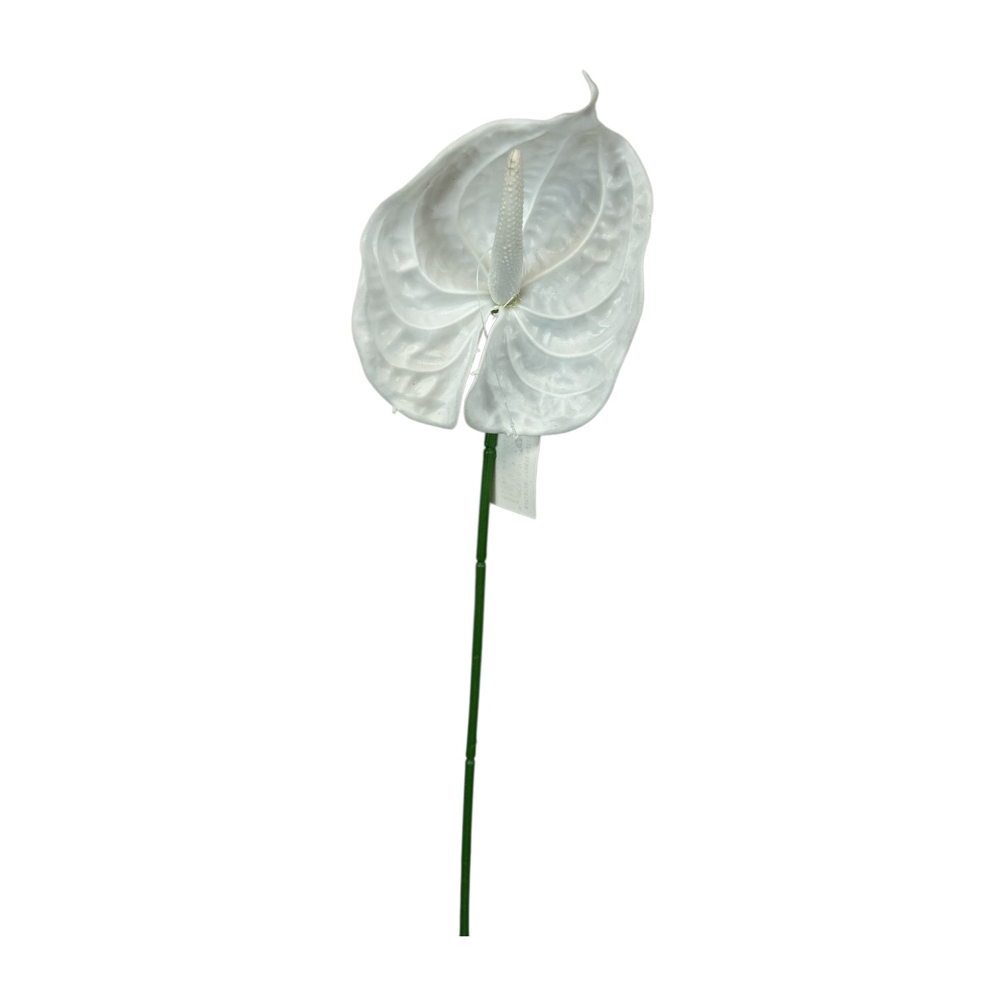 White Anthurium Spray