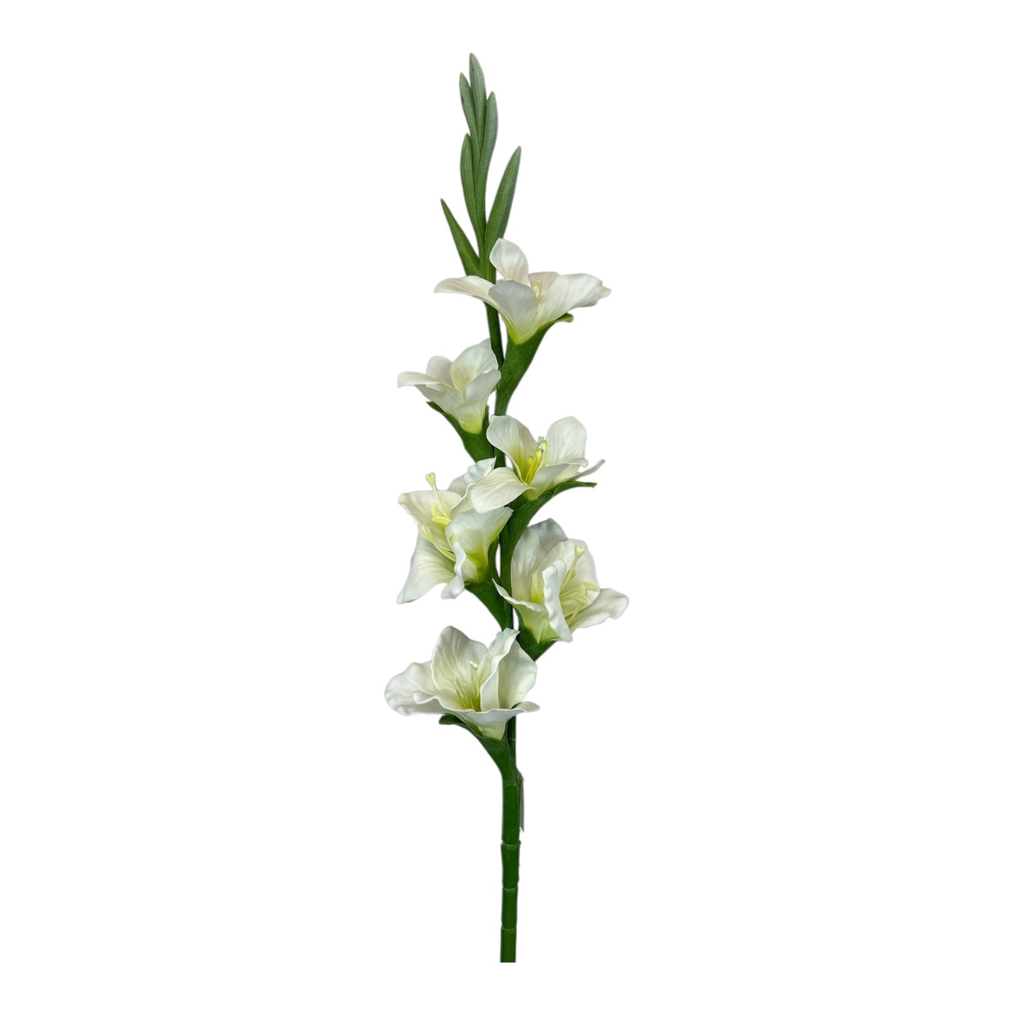 White Mini Gladiolus Spray
