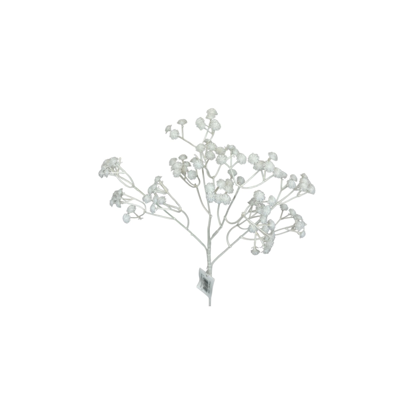 White Baby's Breath Stem