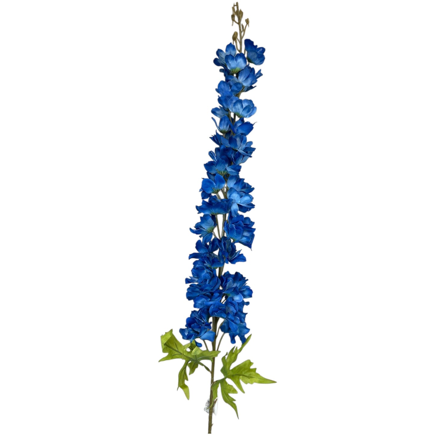 Delphinium Spray