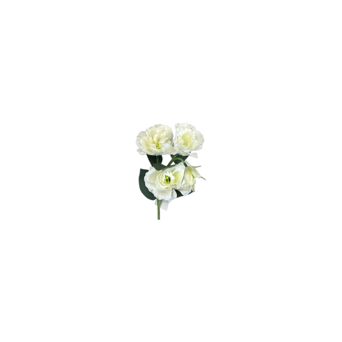 Bridal White Lisianthus Spray