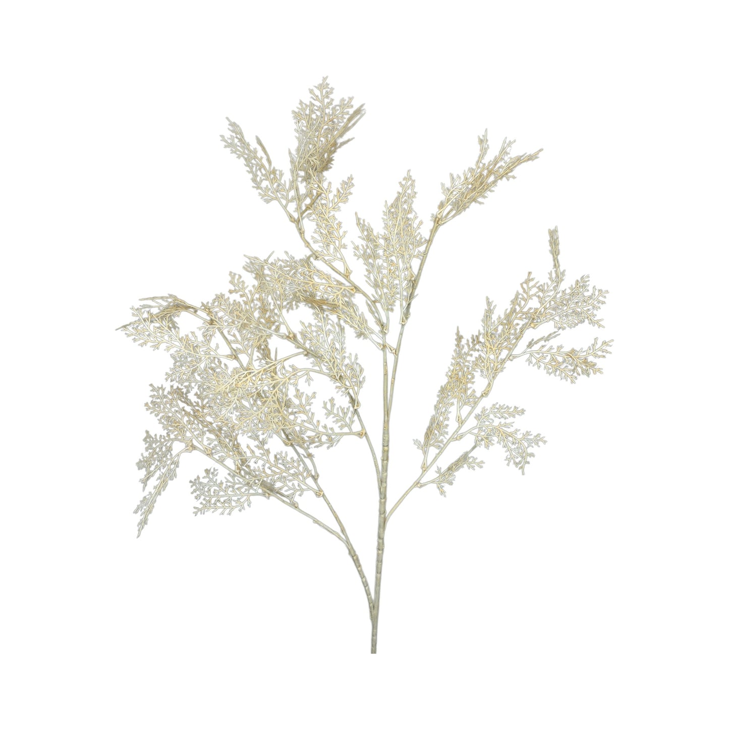 Champagne Myrtle Spray