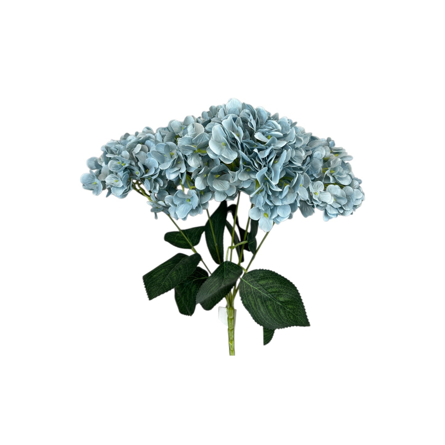 Fog Blue Hydrangea Bush- 5 heads