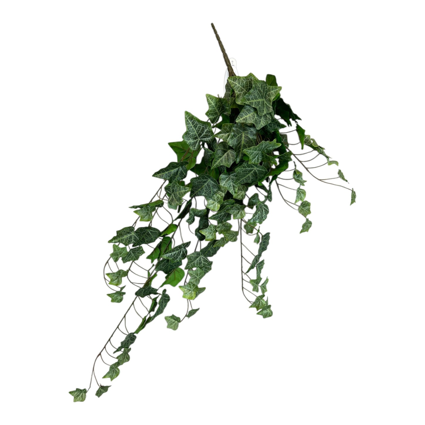 Frosted Green Ivy Hanging Bush