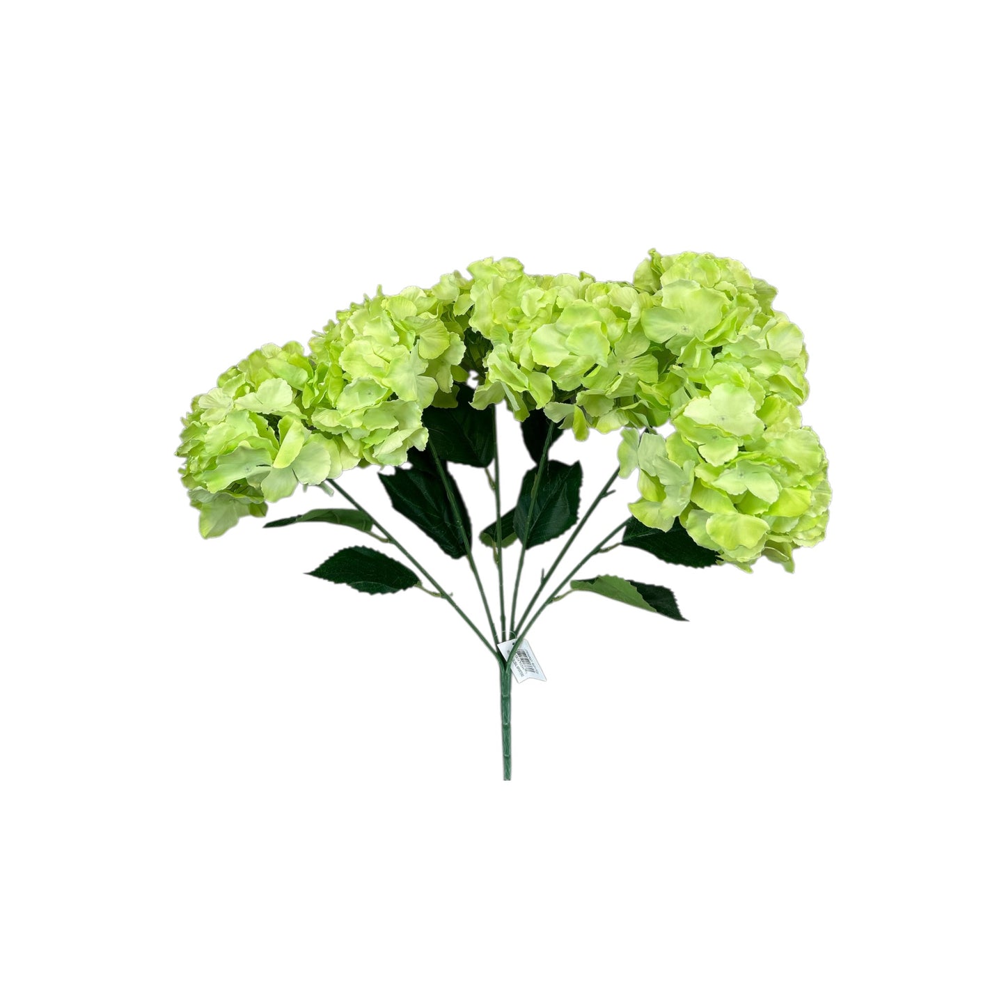 Light Green Hydrangea Bush- 6 heads
