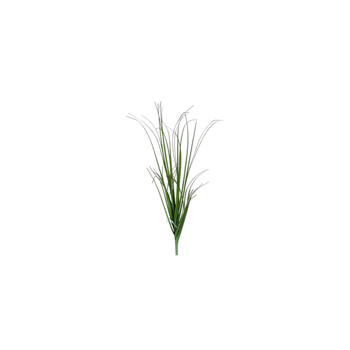 Grass- 15"