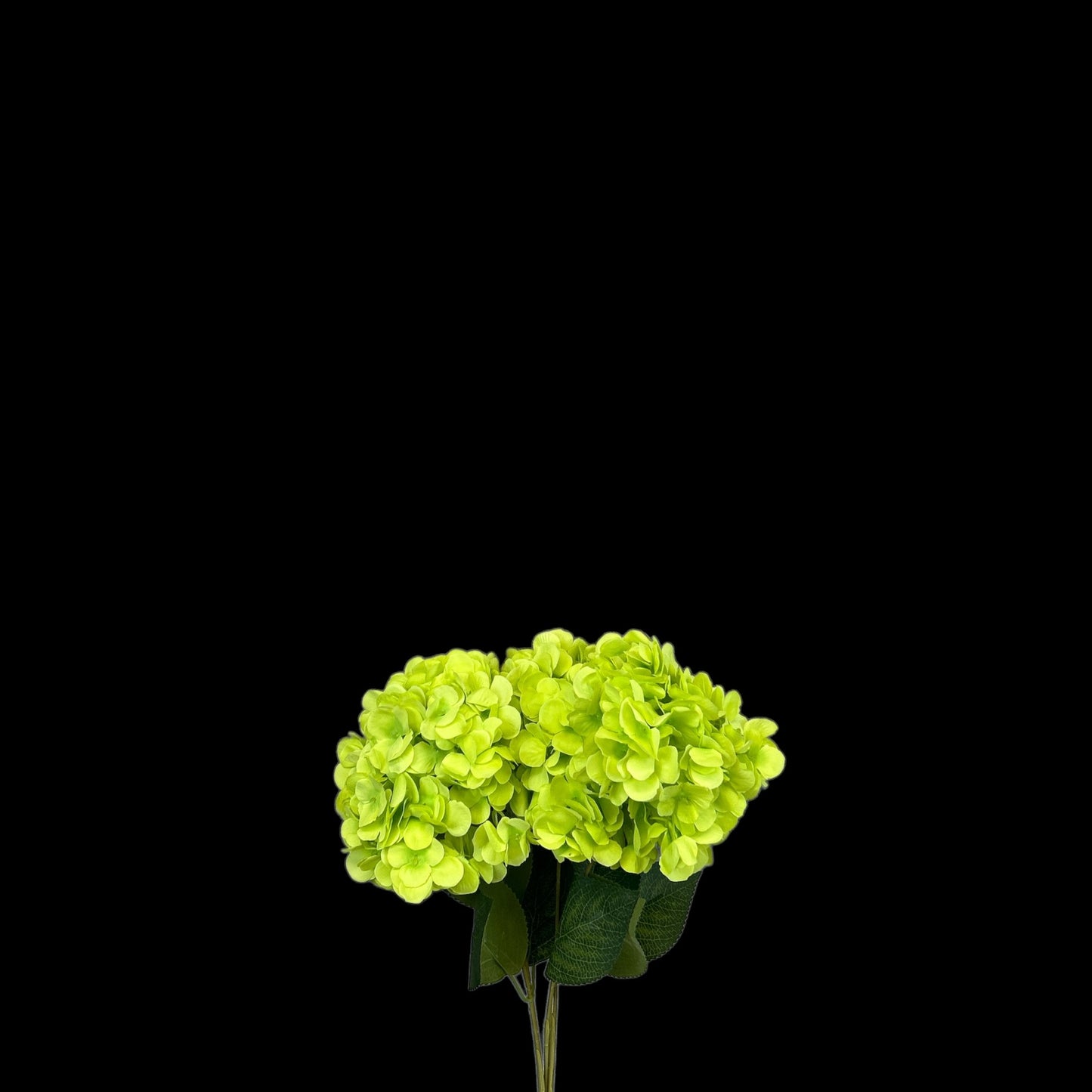 Green Hydrangea Bush- 5 heads