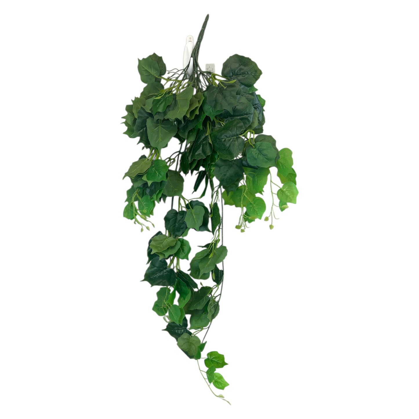 Hanging Ivy Bush
