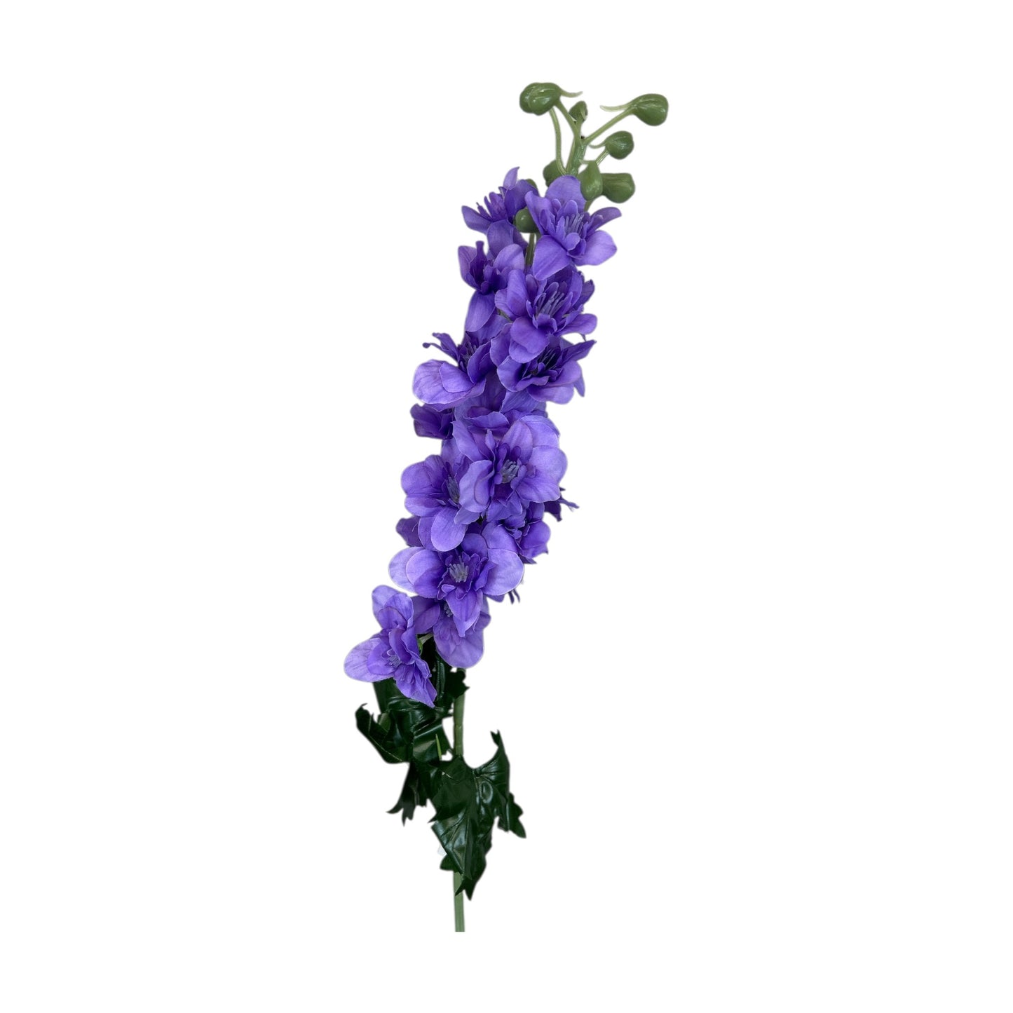 Delphinium Spray