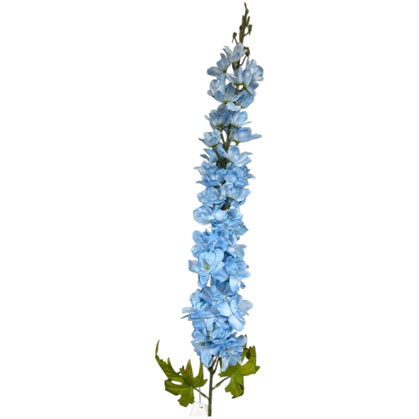 Delphinium Spray