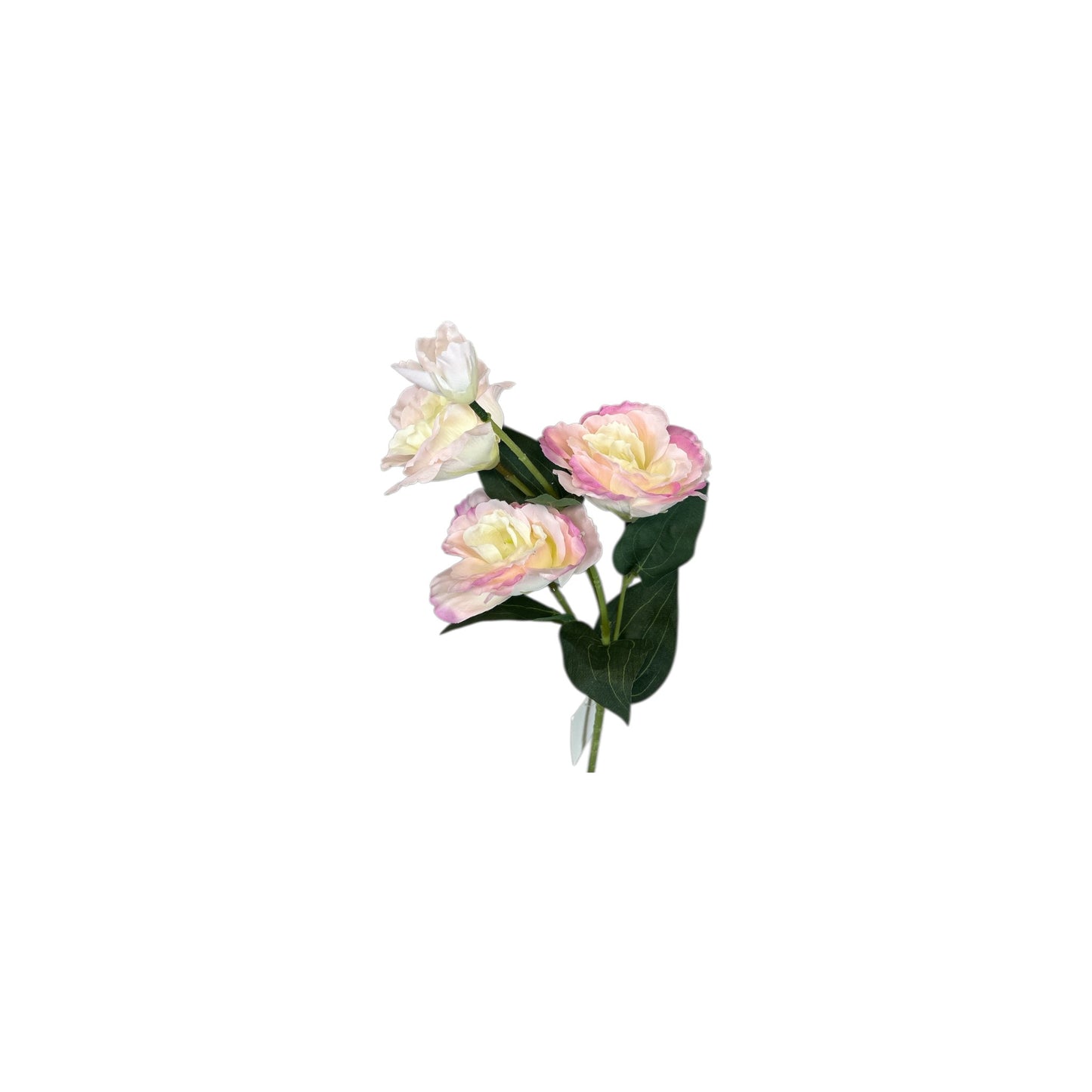 Light Pink Lisianthus Spray