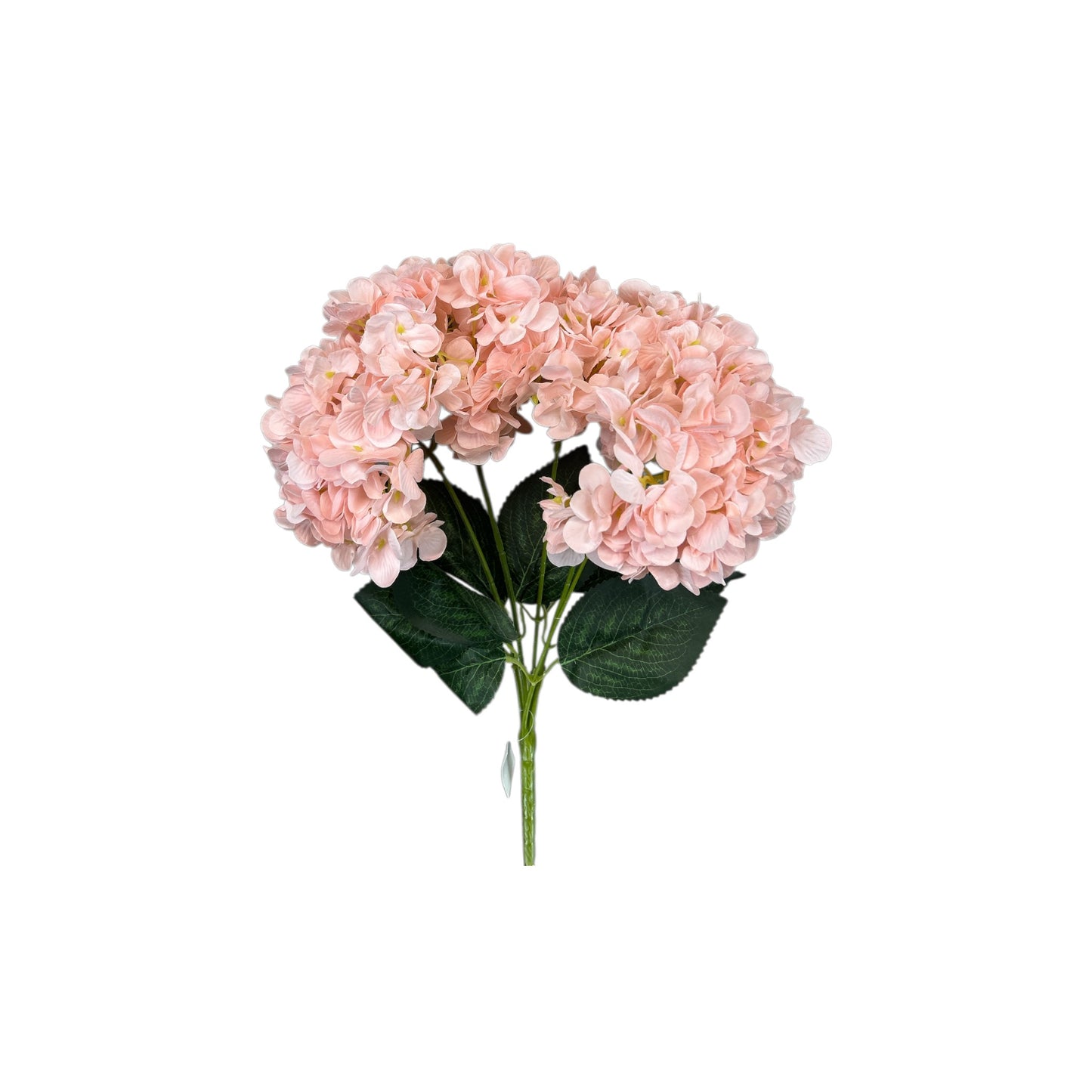 Nude Colour Hydrangea Bush- 5 heads