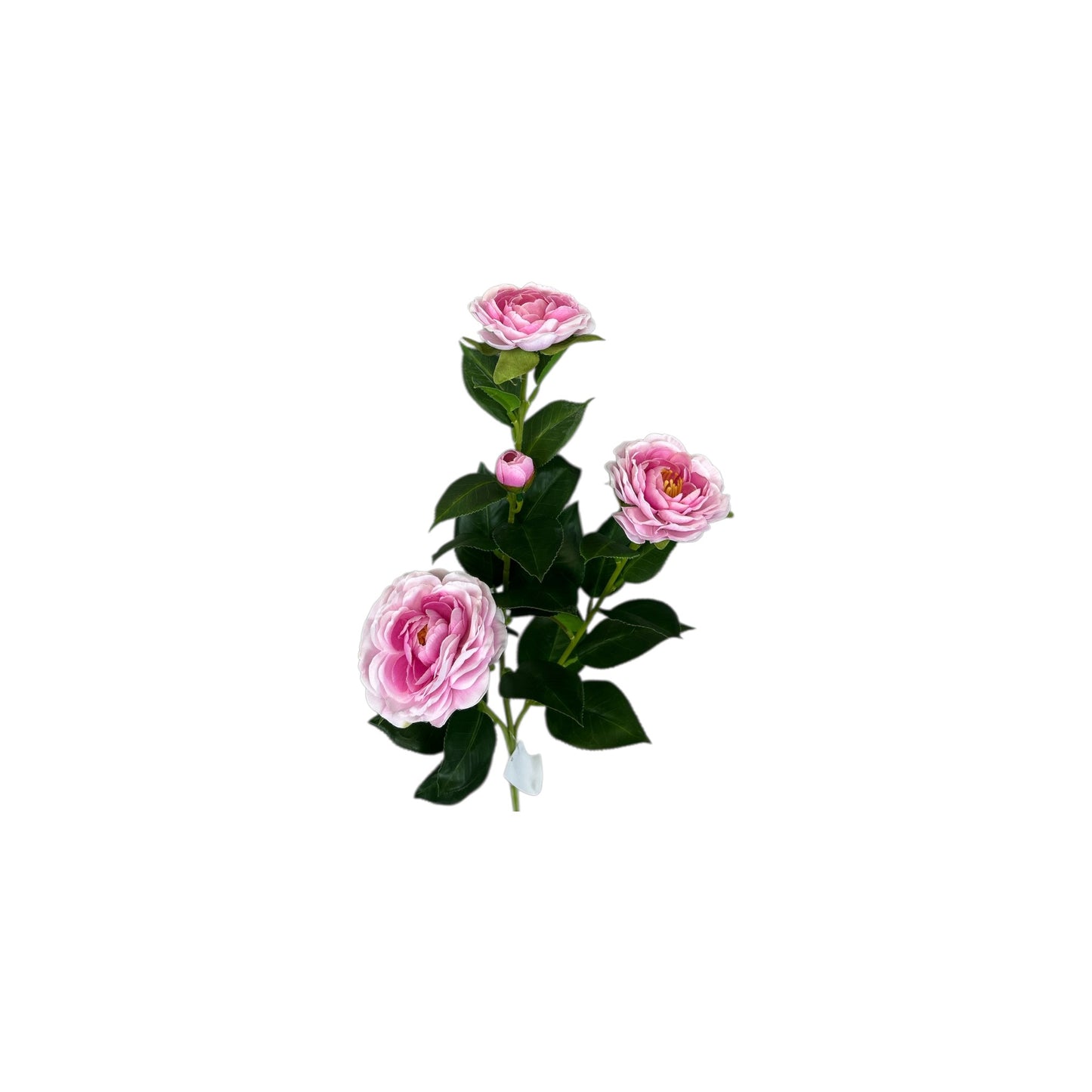 Pink Camellia Spray- 3 heads