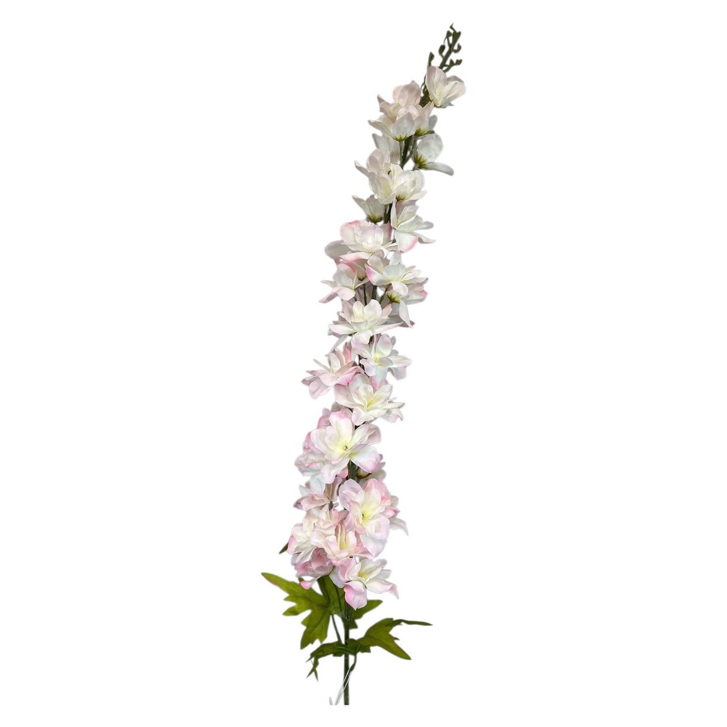 Delphinium Spray