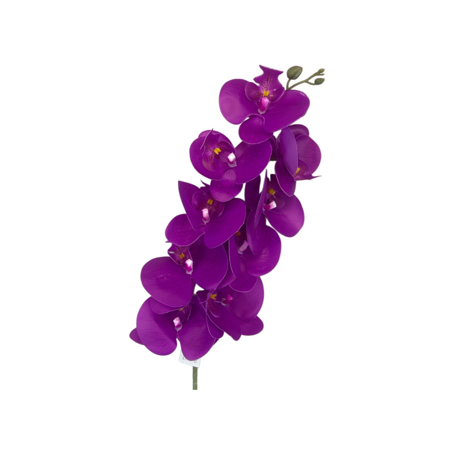 Purple Phalaenopsis Orchid Spray- 9 heads