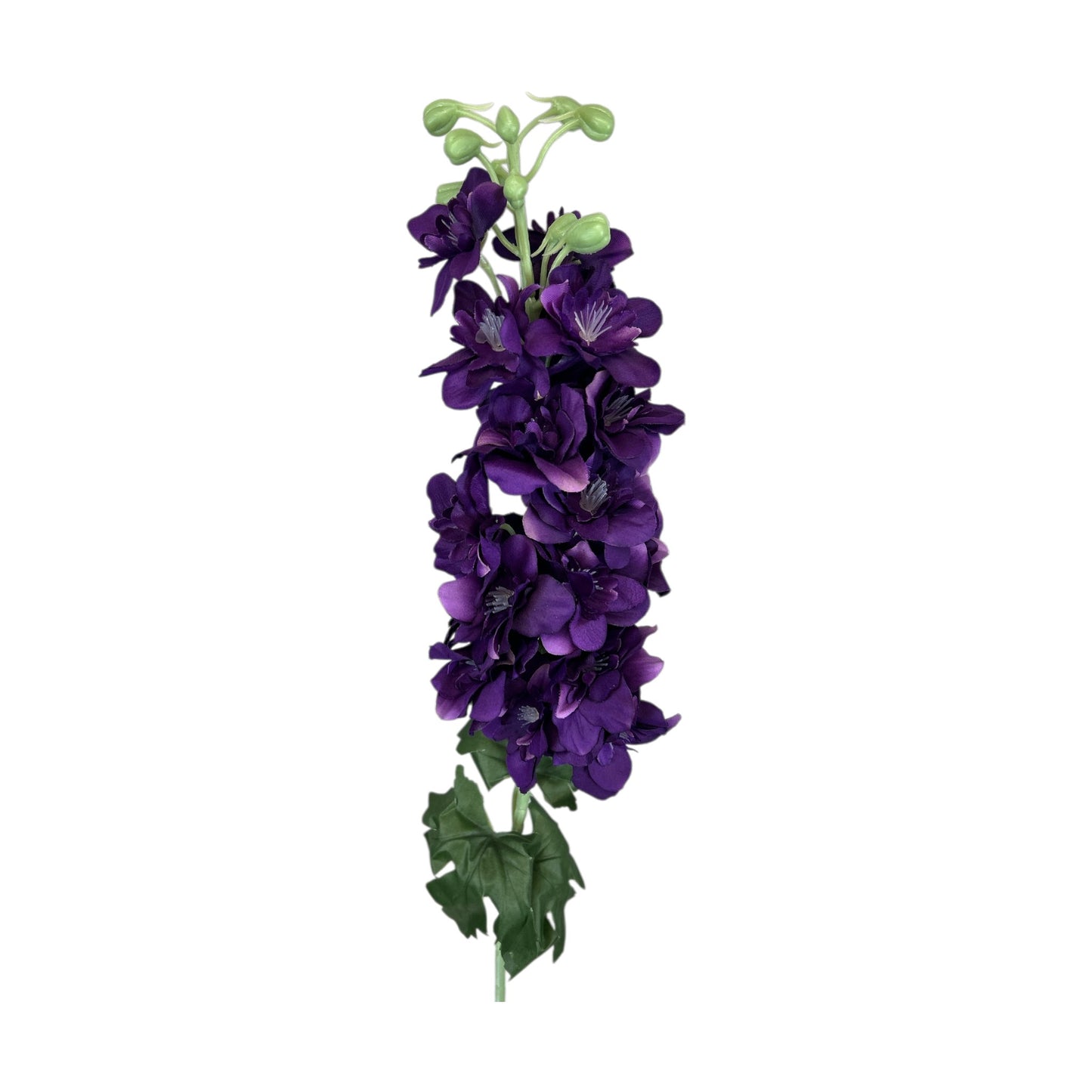 Delphinium Spray