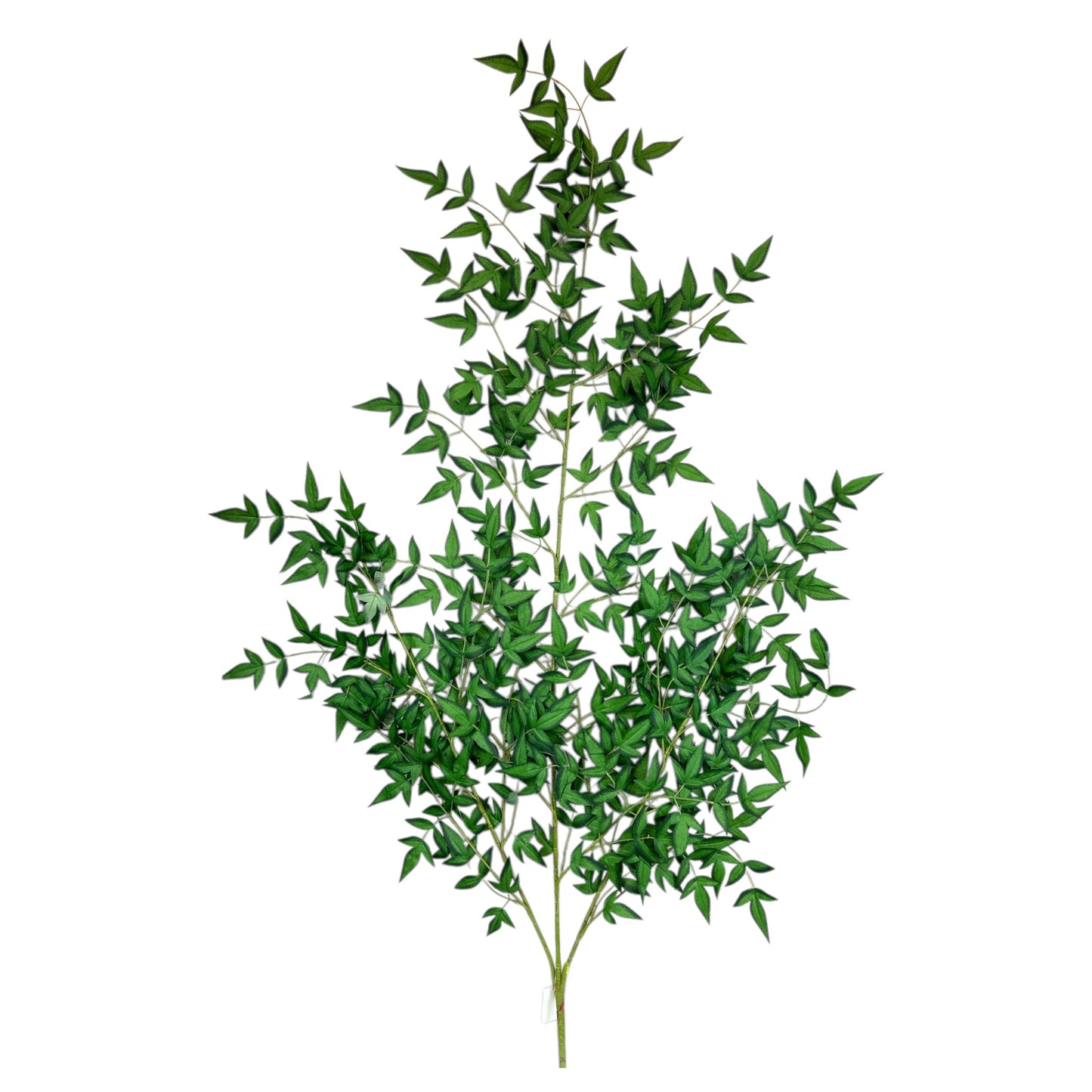 Giant Ruscus Spray
