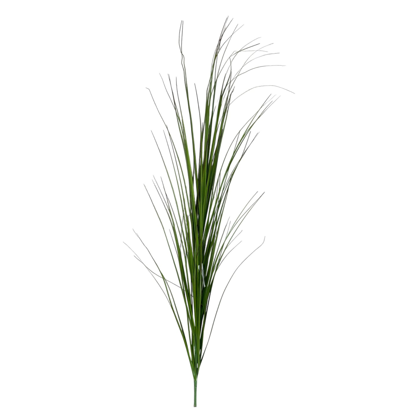 Tall Grass- 35"