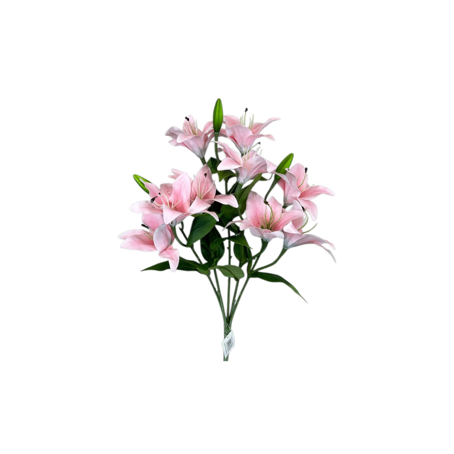 Light Pink Tiger Lily Bush- 9 heads