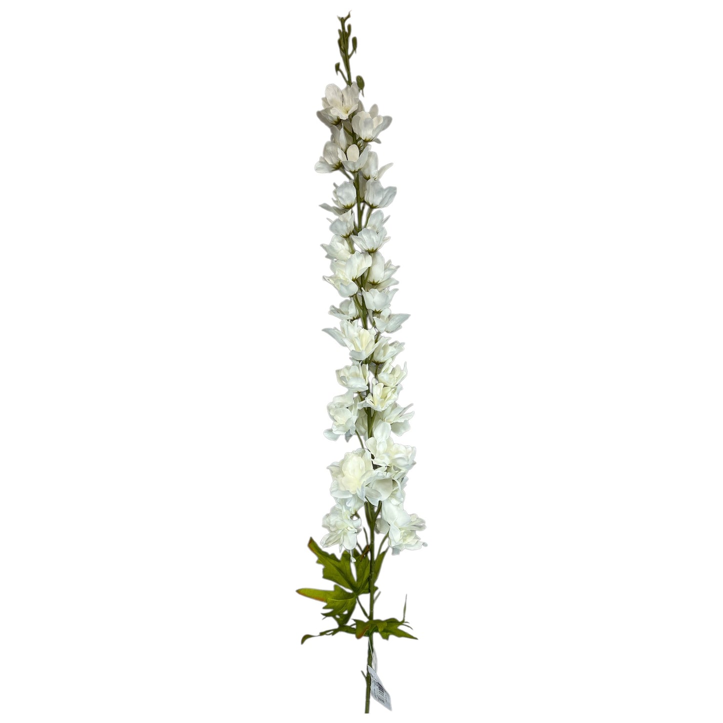Delphinium Spray