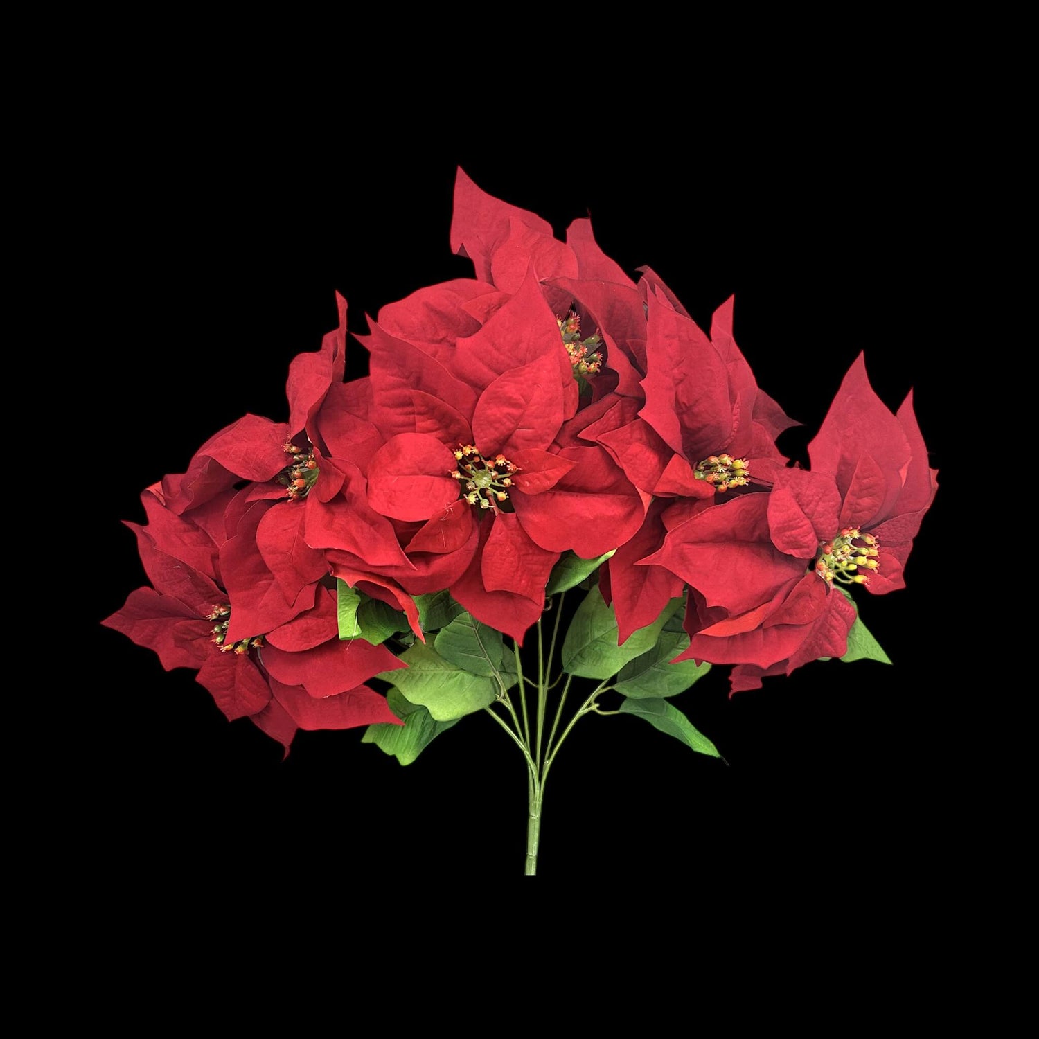 Christmas Collection