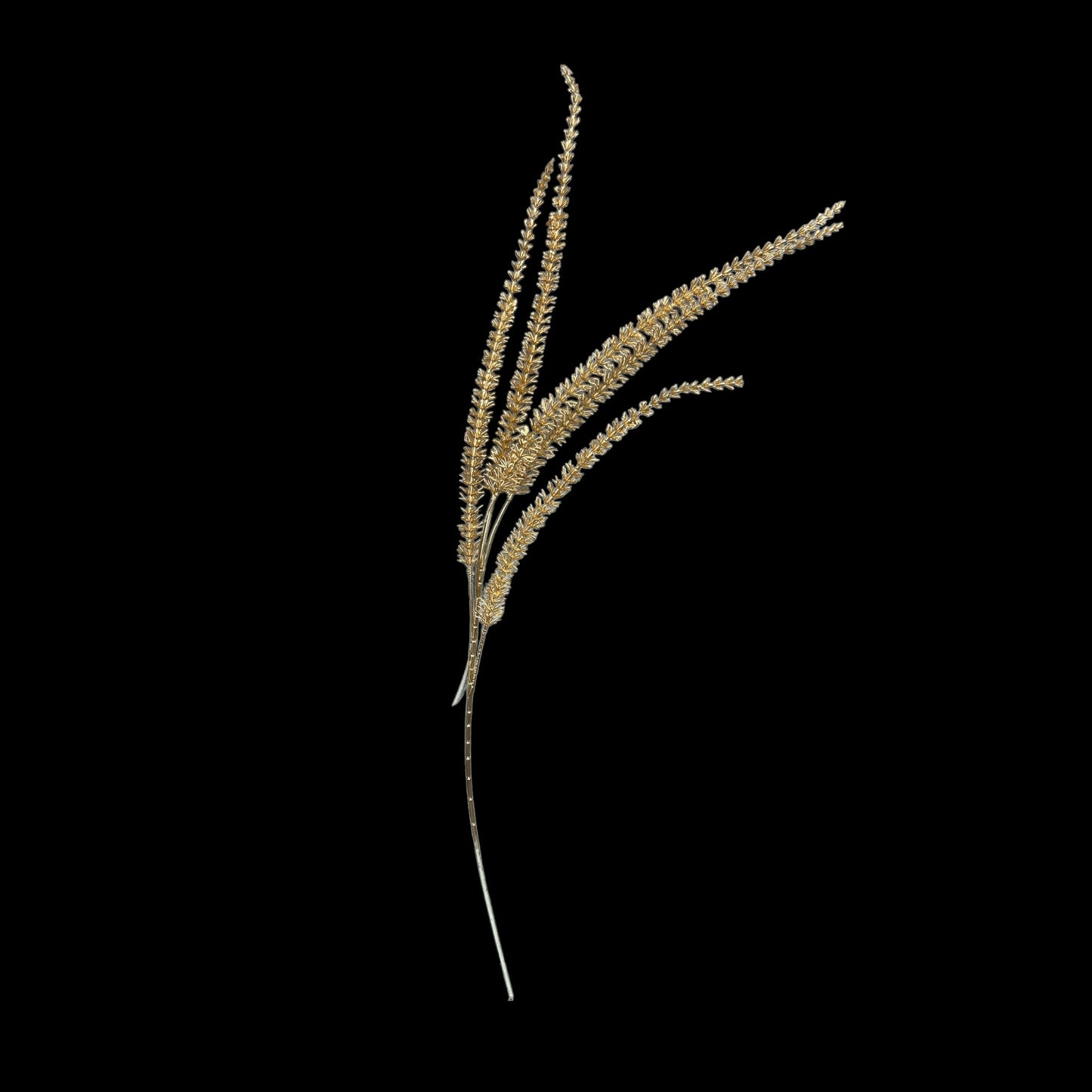 Gold Amaranthus- 3 heads