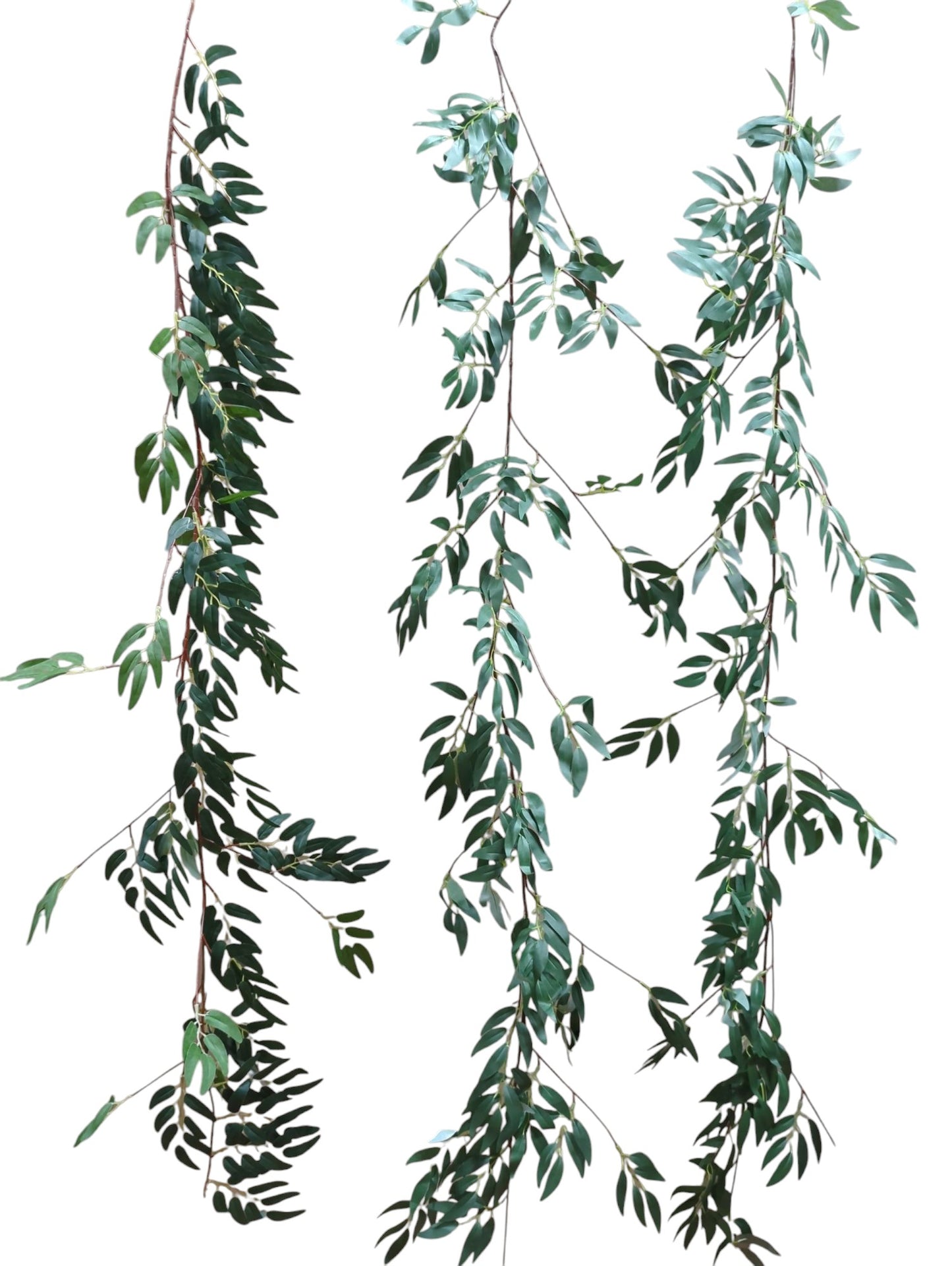 AA16RUS - Ruscus Garland - 6ft