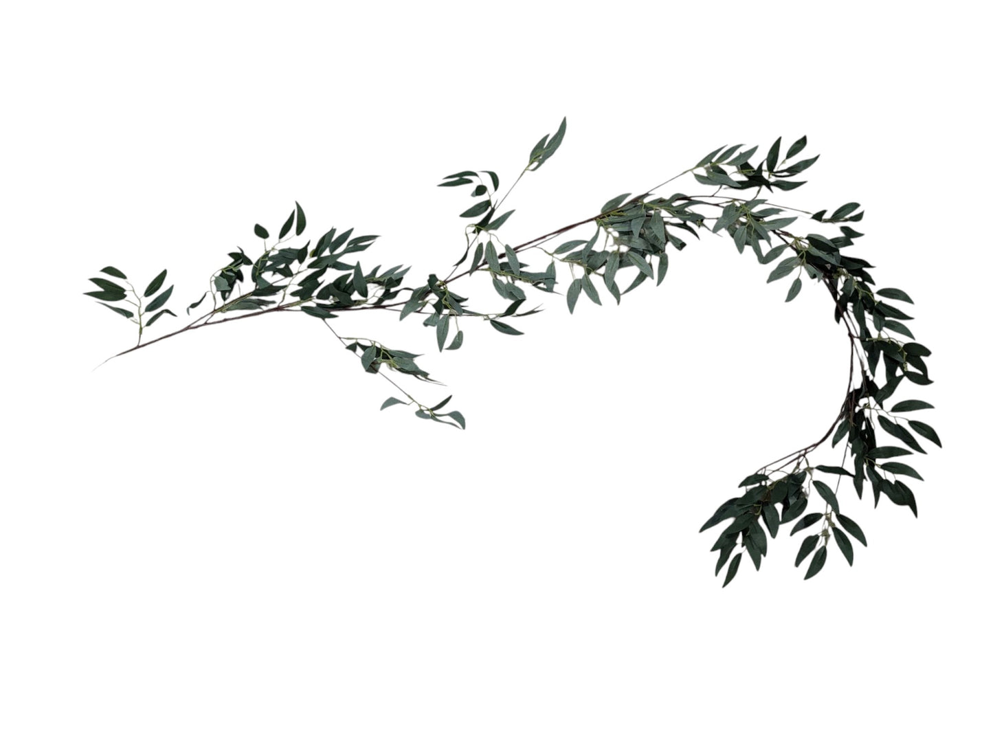 AA16RUS - Ruscus Garland - 6ft