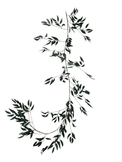 AA16RUS - Ruscus Garland - 6ft