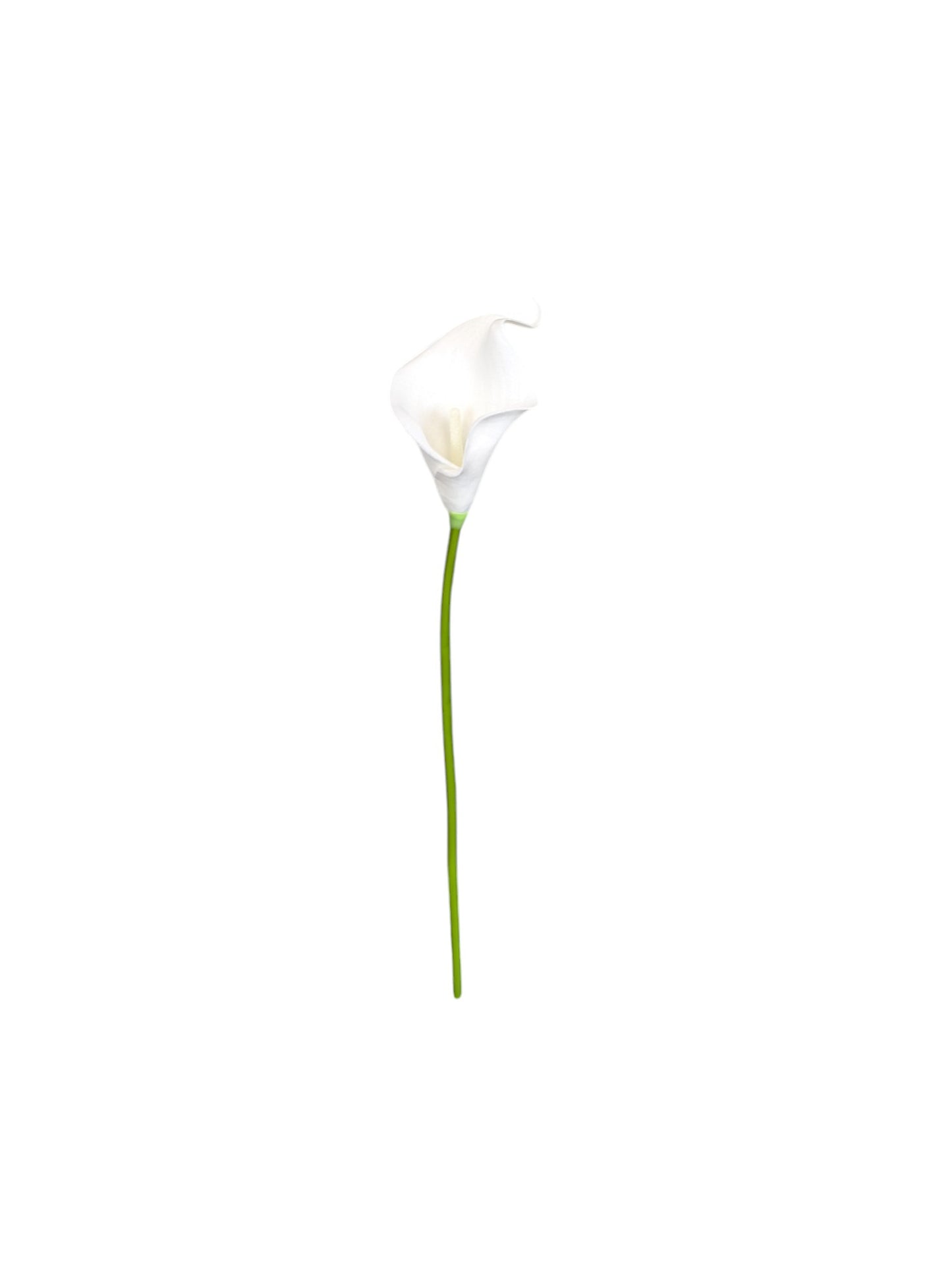 Calla Lily Stem 13" Long