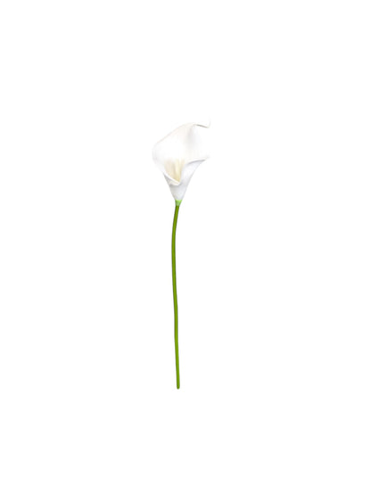 Calla Lily Stem 13" Long