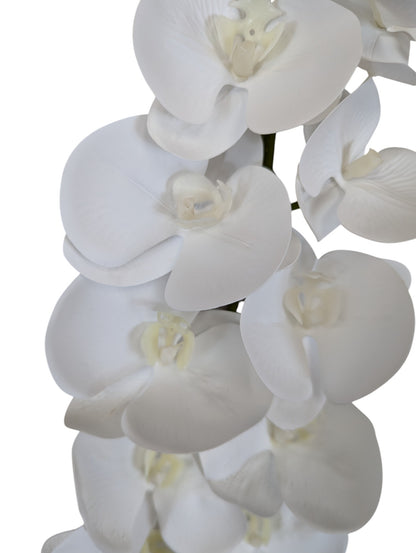 Giant Orchid Stem 41" Long 11 Heads