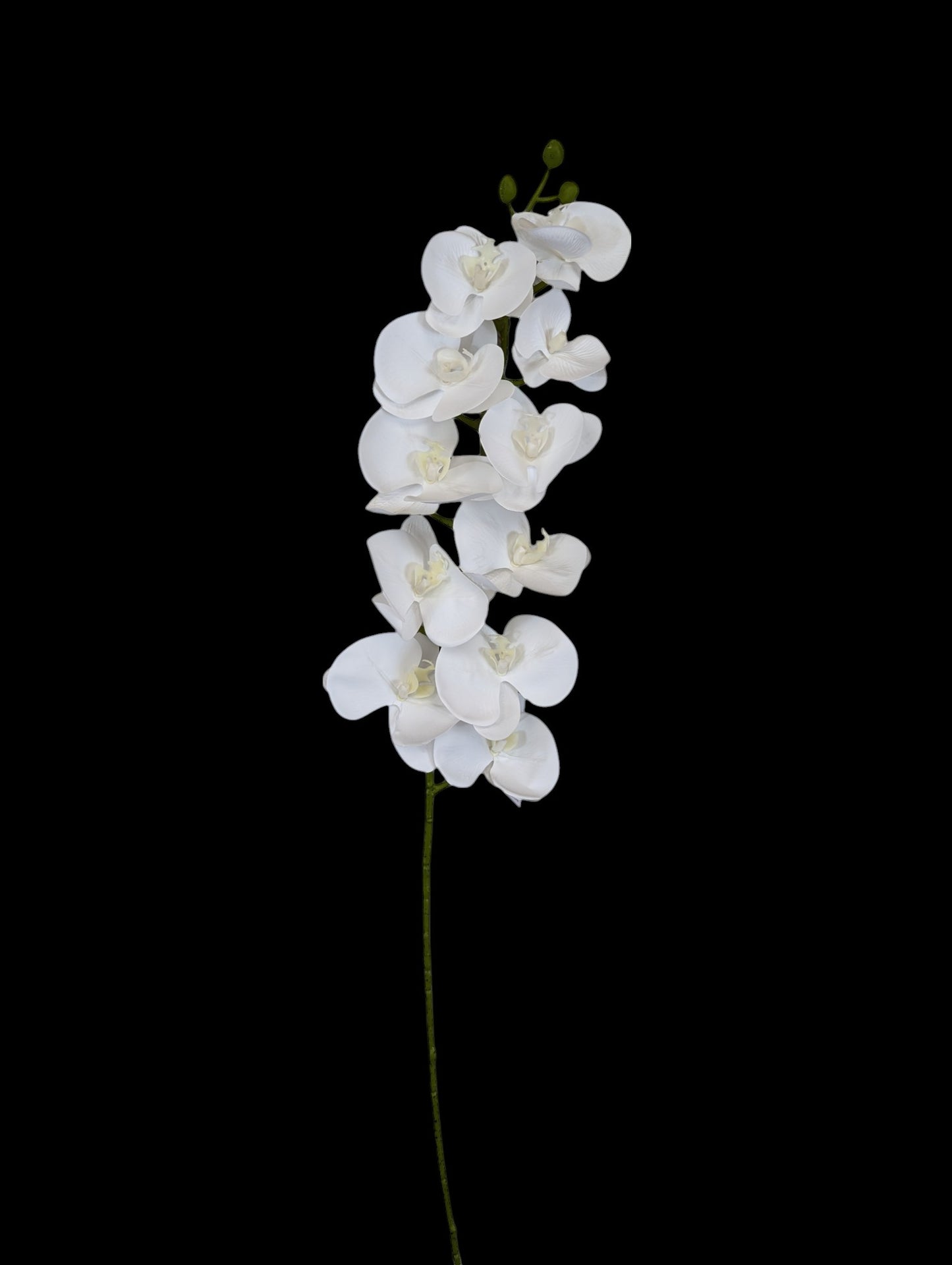 Giant Orchid Stem 41" Long 11 Heads