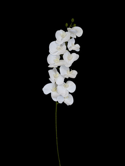 Giant Orchid Stem 41" Long 11 Heads