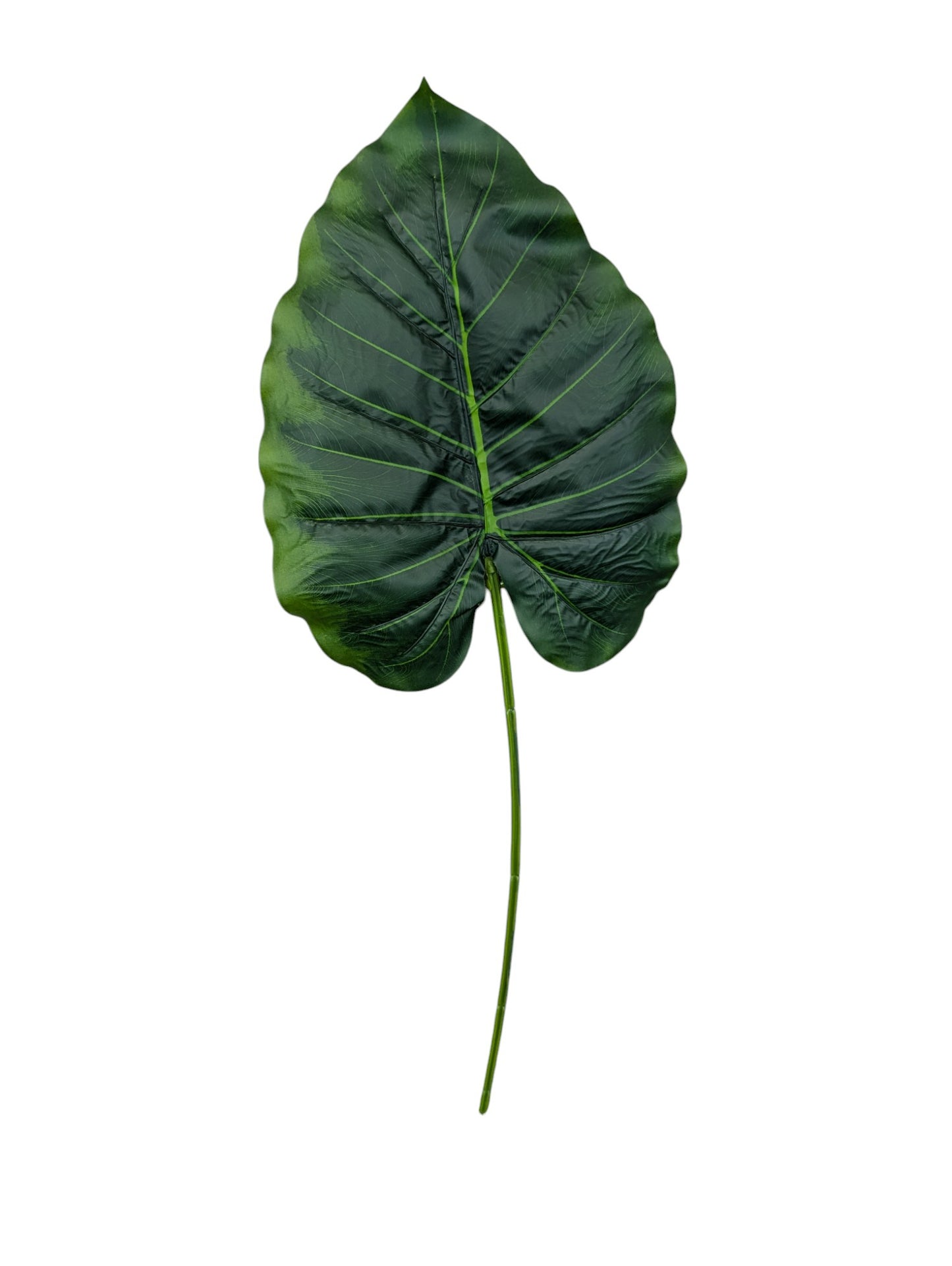 GGL2 Elephant Ear Leaf